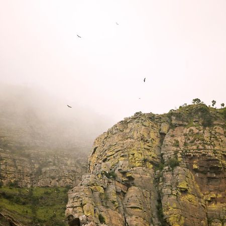 Cape Vulture Conservancy Villa Hoedspruit Eksteriør billede