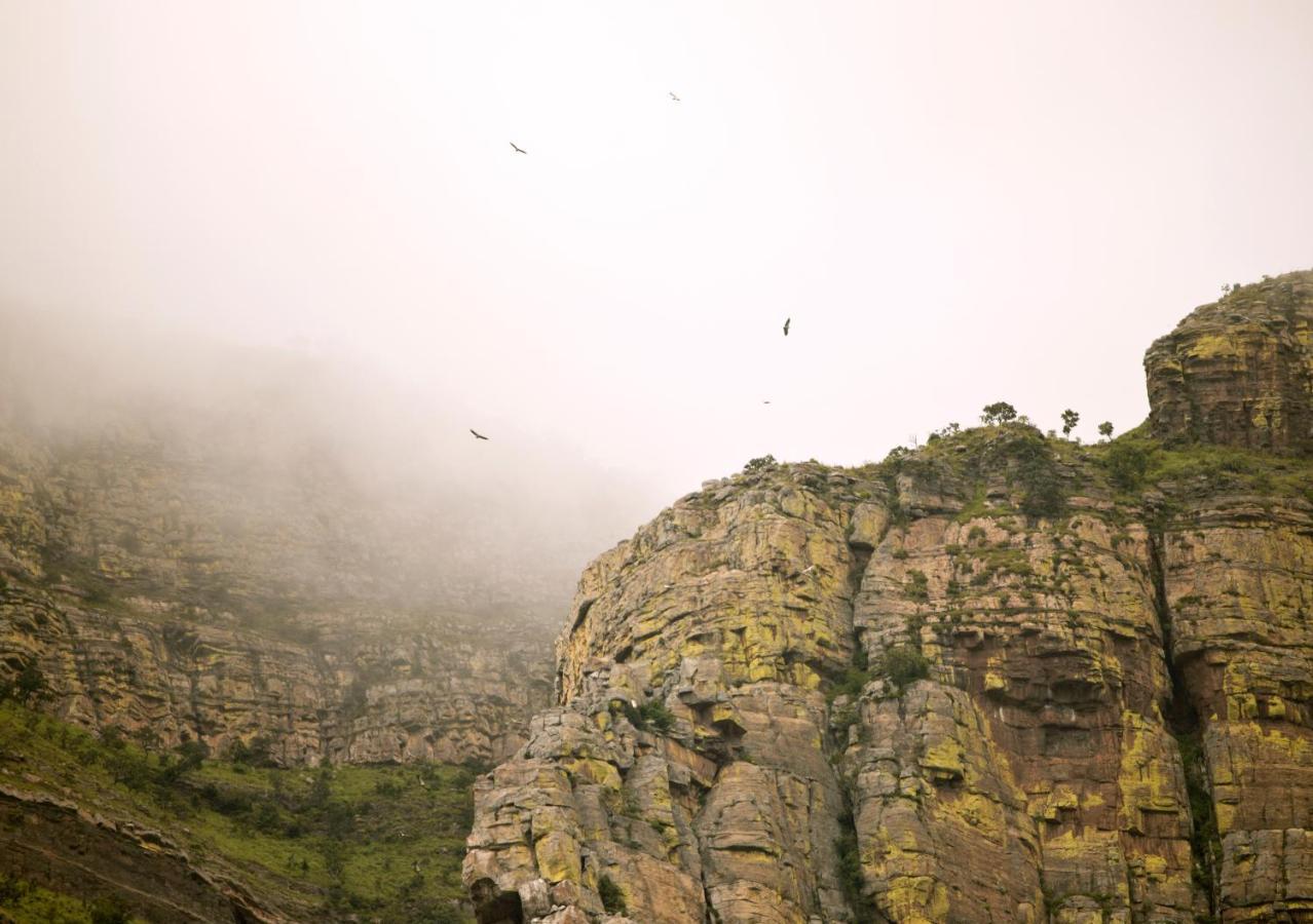 Cape Vulture Conservancy Villa Hoedspruit Eksteriør billede