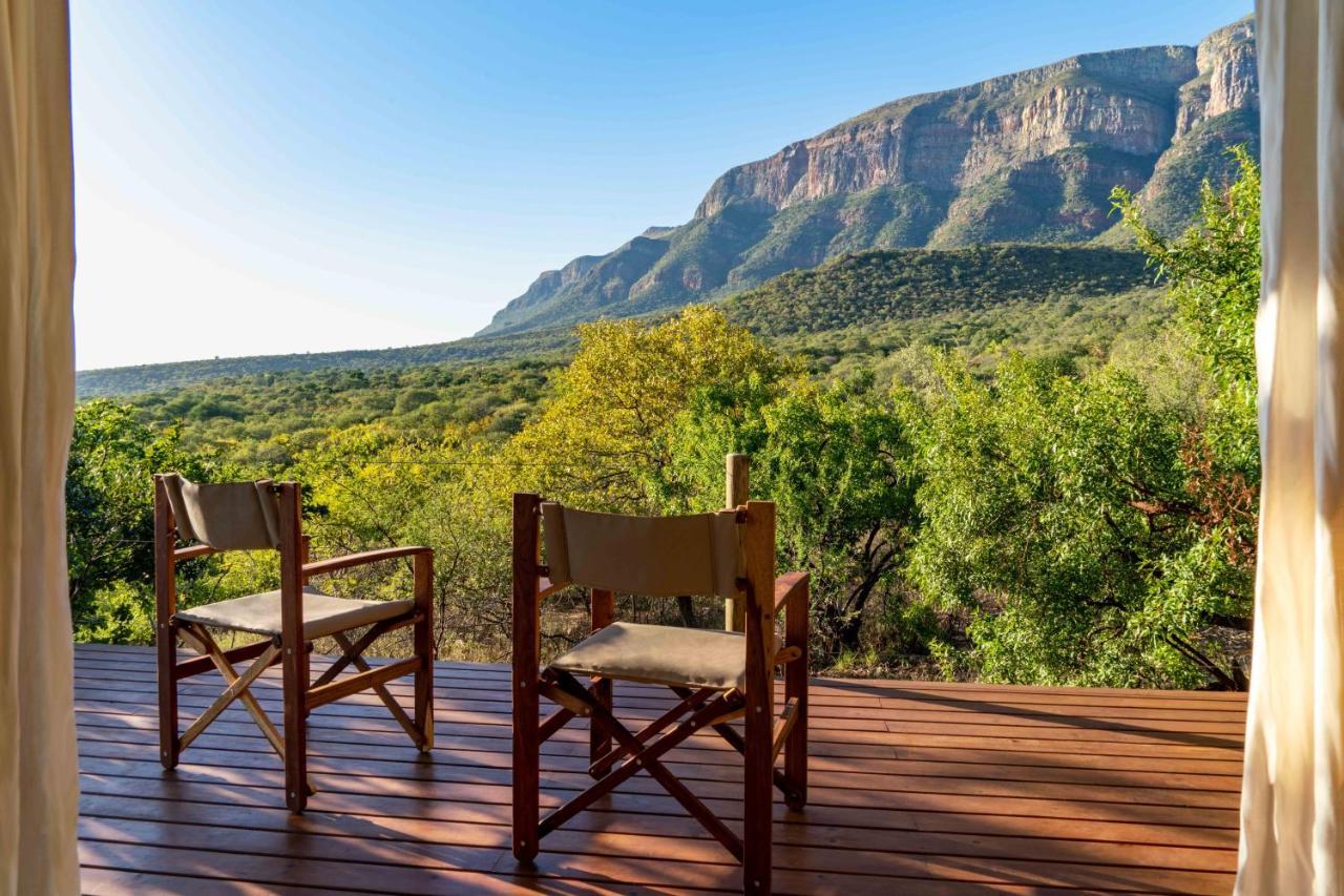 Cape Vulture Conservancy Hoedspruit Eksteriør billede