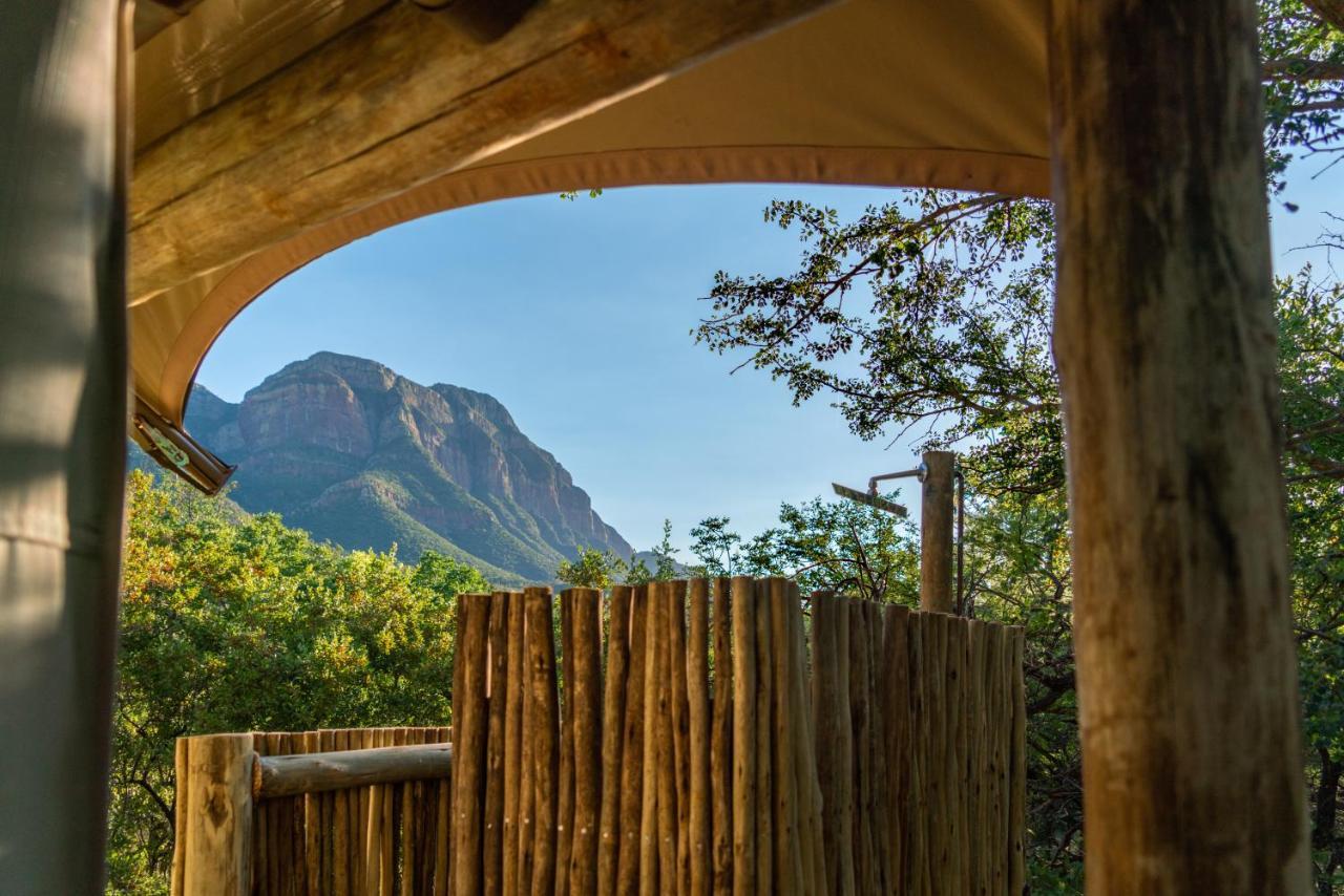 Cape Vulture Conservancy Villa Hoedspruit Eksteriør billede